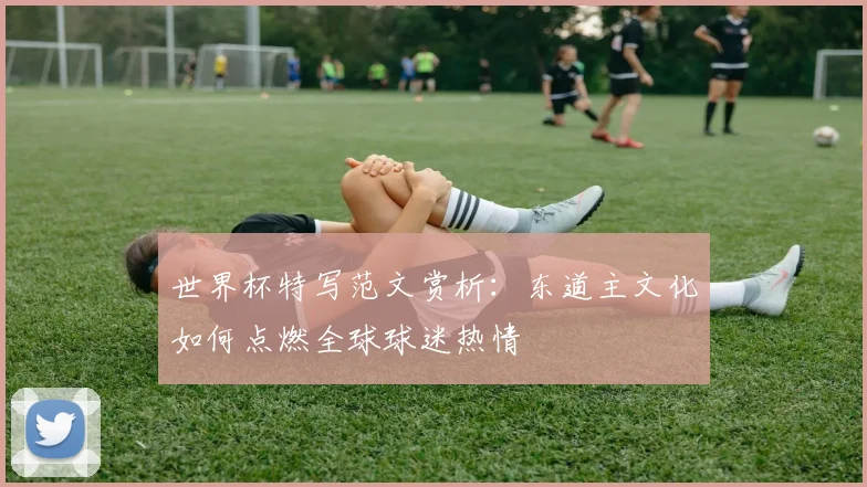 世界杯特写范文赏析：东道主文化如何点燃全球球迷热情
